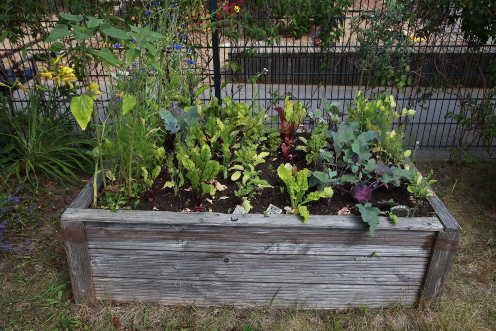 Garten der Baugruppe Wunschnachbarn ©Dorothee Hörstgen